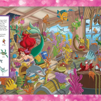 Sách ngoại văn: Look And Find Sticker Book Disney Princess Magical Adventures