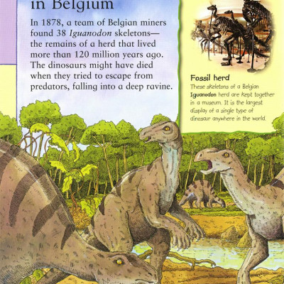 First Dinosaur Picture Atlas