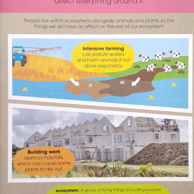 My Precious Planet Looking After Nature Activity Book