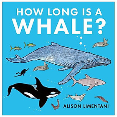 How Long Is A Whale?