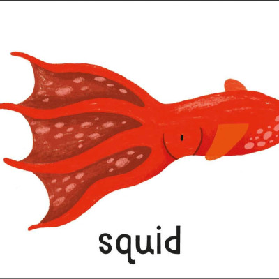 Lots To Spot Flashcards: Animals!