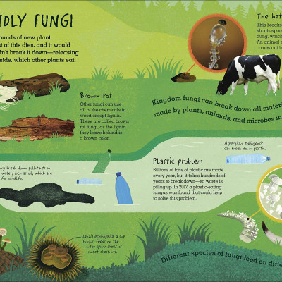 Humongous Fungus