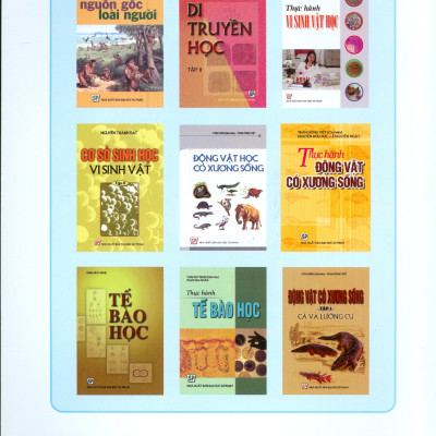 Giải Phẫu So Sánh Động Vật Có Xương Sống