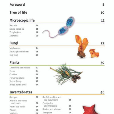 The Animal Book