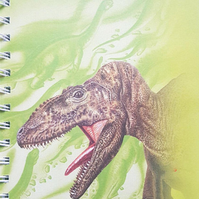 My Dinosaur Diary
