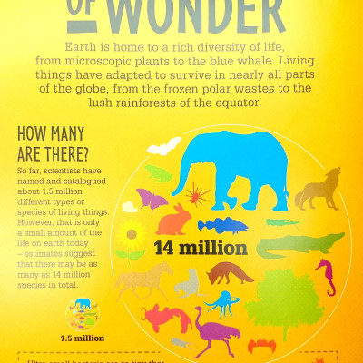 Life On Earth (Infographics: How It Works)