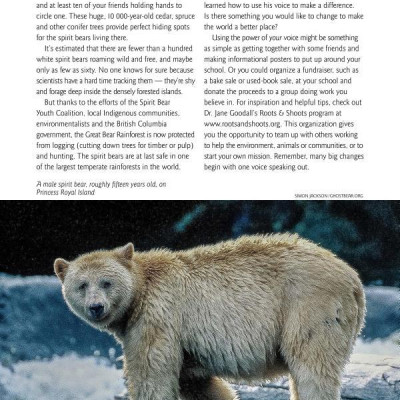 A Voice for the Spirit Bears: How One Boy Inspired Millions to Save a Rare Animal