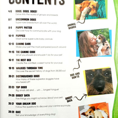Dogs (Pet Expert)