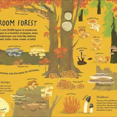 Humongous Fungus