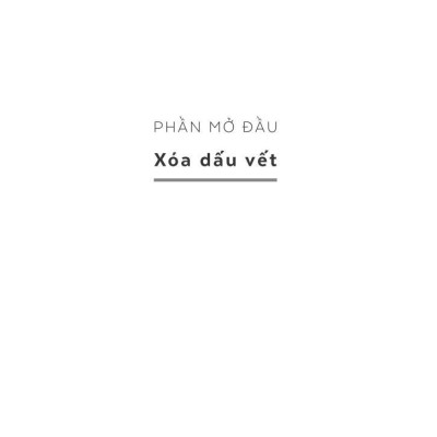 Người Bạn Phi Thường