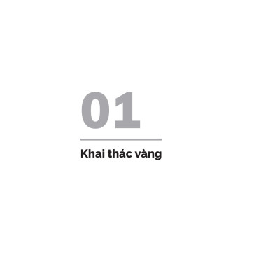 Đầu Tư Vào Vàng - Khoản Đầu Tư Tuyệt Đối An Toàn Thiết Yếu Cho Mọi Danh Mục Đầu Tư (Tái Bản 2024)