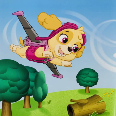 Paw Patrol High Flying Skye - Storybook With Bag Tag