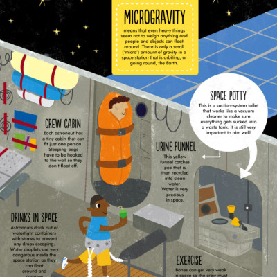 Facts: Essential Knowledge For Curious Kids