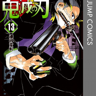 鬼滅の刃 13 - ONI METSU NO HA 13