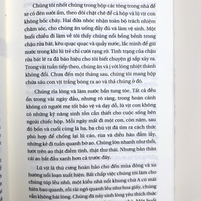 Sách - Tết cỏ ngọt - Tri thức bản địa, Kiến thức khoa học và những lời dạy từ cỏ cây - Bìa mềm - 576 trang
