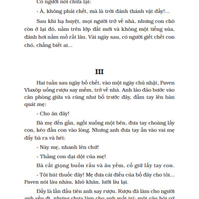 Người Mẹ (Tái Bản 2023)