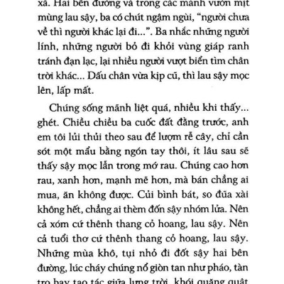 Yêu Người Ngóng Núi