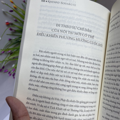MAY MẮN CÓ NHỮNG PHIỀN NÃO - Khenpo Sodargye - Thuận Minh dịch -  Achaubooks – NXB Lao Động 