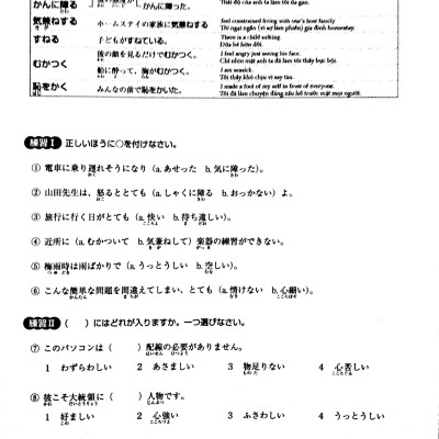 Luyện Thi Năng Lực Nhật Ngữ N1 - Từ Vựng