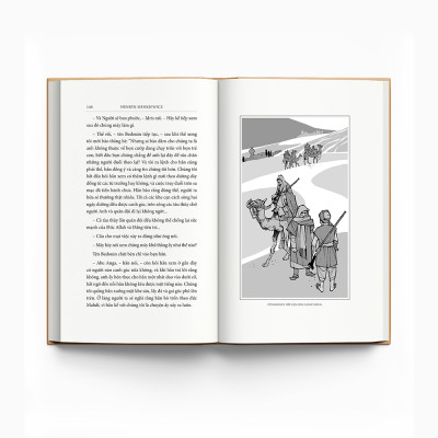 Trên sa mạc và trong rừng thẳm - Ấn bản cao cấp - Bìa vải