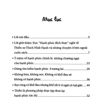 Trò Chuyện Với Thiền Sư Thích Nhất Hạnh - Hạnh Phúc Đích Thực- Hoàng Anh Sướng