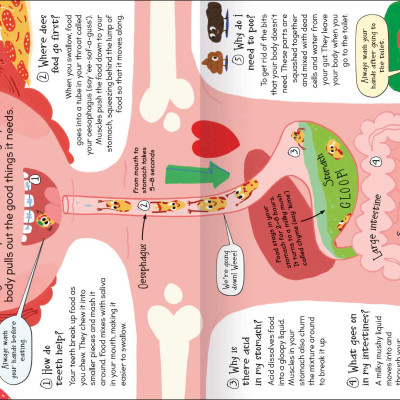 Curious Questions & Answers About My Body