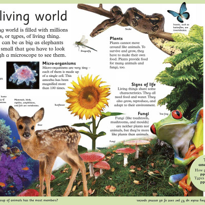 First Science Encyclopedia