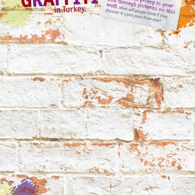 Weird But True! 4: Wild And Wacky Sticker Doodle Book