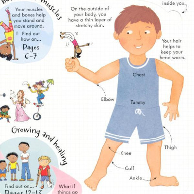Usborne Look inside Your Body