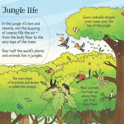 Sách tương tác tiếng Anh - Usborne Look inside the Jungle