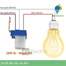 Công Tắc Cảm Biến Tự Động Bật Đèn Khi Trời Tối – Phù Hợp Mọi Nguồn Điện 12V-220V