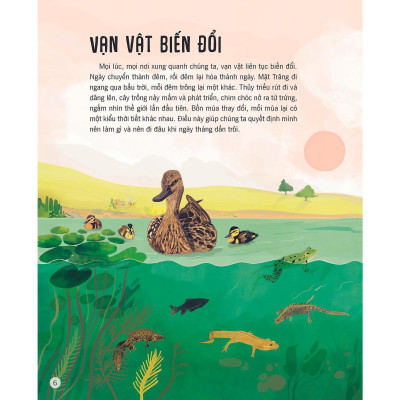 Sách - Vạn Vật Biến Đổi - Đinh Tị Books