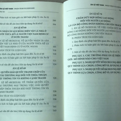 Án lệ Việt Nam – Phân tích và luận giải (Tập 2: từ án lệ 44 đến án lệ 70) – tái bản lần thứ nhất