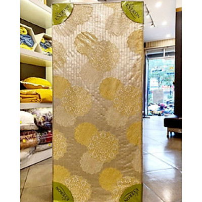 Đệm tham hoạt tính Everon 