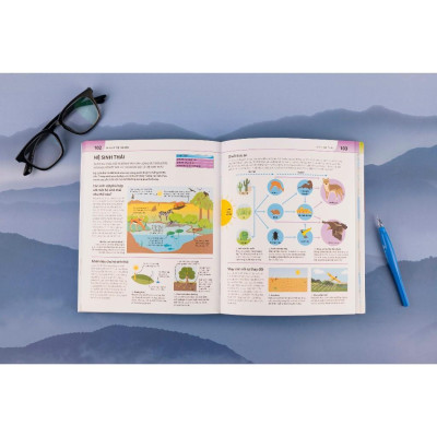 Sách - Bách Khoa Thư Về Phát Triển Kỹ Năng - Địa Lý - Đinh Tị Books