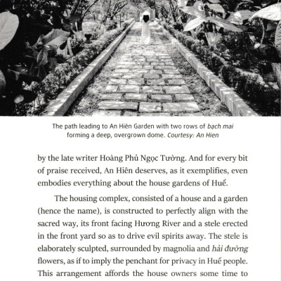 Ochna In The Front Yard - Fascinating Stories About Huế - An Ancient, Poetic And Glamorous Land (PNU)