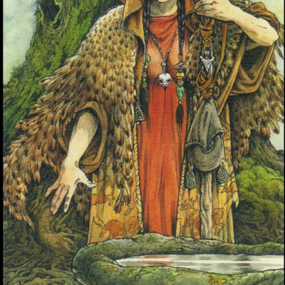 Bộ bài Wildwood ta rot