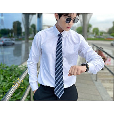 Cà Vạt Lụa Tơ Tằm SenSilk CAVATS02 – Cà Vạt Nam Cao Cấp, Quà Tặng Quý Ông