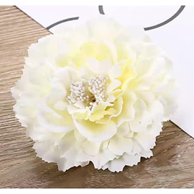 HOA CÀI TÓC ĐI BIỂN VINTAGE DN19081101