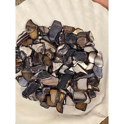 CHÂN ĐẾ GỖ giá gỗ 3 chân đựng vỏ sò - Đĩa ốc xà cừ đốt xô thơm Wooden Cobra Stand