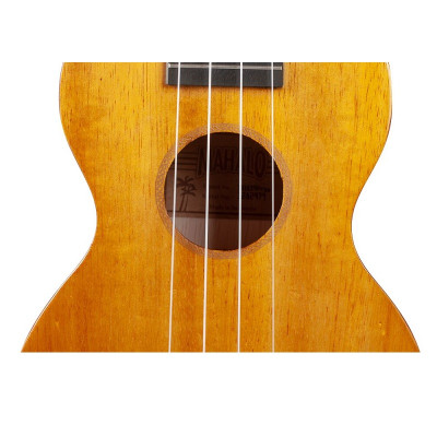 1 Ukulele Concert Mahalo MH2vna