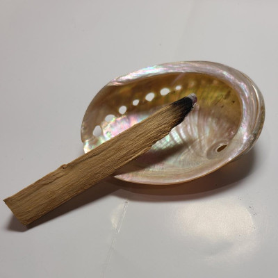 Combo 1 Đĩa ốc xà cừ + 20gr vụn xô trắng hoặc vụn palo santo + 10 viên than