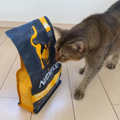 Thức Ăn Hạt Cho Mèo Nutrience Subzero Bao 5kg Vị Gà Tây và 6 Loại Cá Biển Trái Cây Rau Củ