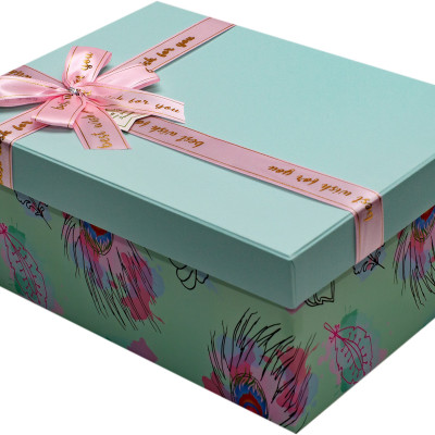 Hộp Quà Chữ Nhật C233 - 35 x 25 x 15 cm - Giao màu ngẫu nhiên