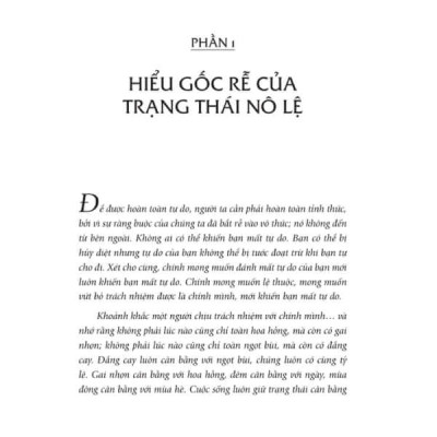 Osho - Tự Do Như Chim Tung Cánh - Bìa mềm - First News