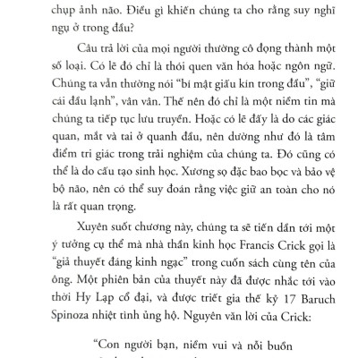 Tâm Trí Thật Phi Lý