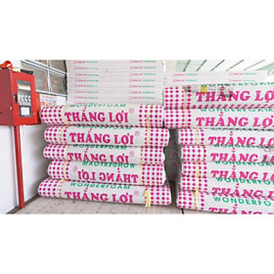 Nệm Cao Su Foam, Nệm Thắng Lợi WonderFoam Cho Người Bị Đau Lưng