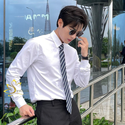 Cà Vạt Lụa Tơ Tằm SenSilk CAVATS02 – Cà Vạt Nam Cao Cấp, Quà Tặng Quý Ông