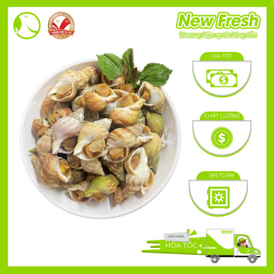 [GIAO NHANH HCM] Ốc Bulot Pháp Đông Lạnh - Túi 500Gr