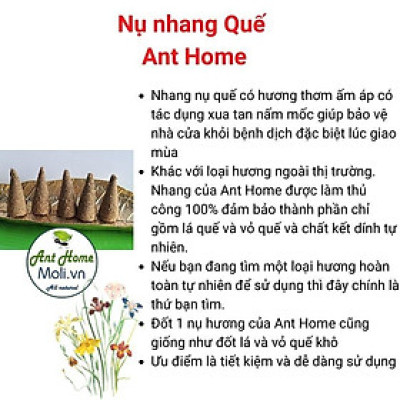 Túi 11 nụ nhang Palo Santo nguyên chất - Nhang gỗ trắc xanh - Gỗ thánh Holly wood